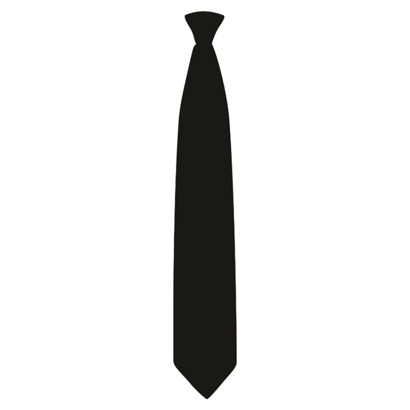 Clip-on security tie | WISE Worksafe