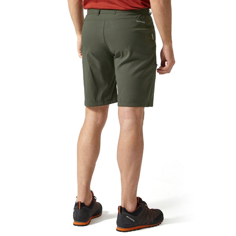 Craghoppers Kiwi Pro stretch shorts | WISE Worksafe