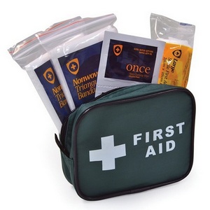 Image of 1-person travel first aid kit in zip bag, P-N018020