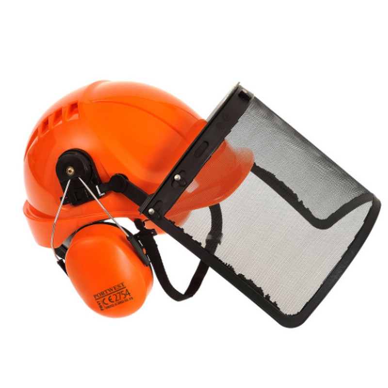 Image of Forestry helmet with ear muffs and mesh visor, P-G07PW98